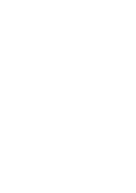 A Teia